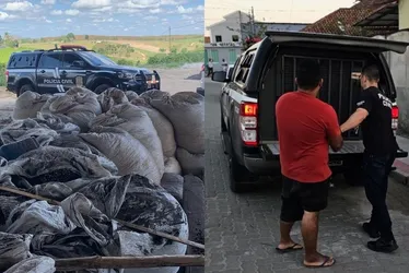 Imagem ilustrativa da imagem Jovem é preso com quase 50 sacas de café roubadas no Noroeste do ES