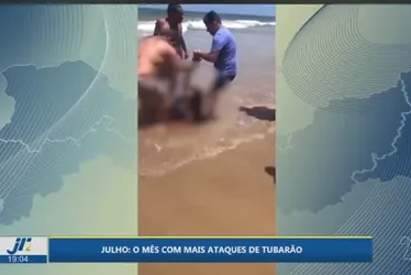 Imagem ilustrativa da imagem Julho é o mês com maior presença de tubarões nas praias. Veja como prevenir ataques