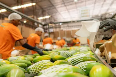 Imagem ilustrativa da imagem Mais 5 empresas vão investir no Espírito Santo