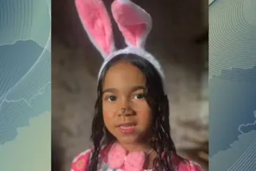 Imagem ilustrativa da imagem Menina de 6 anos baleada em festa tem morte encefálica confirmada pelo HR