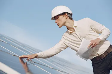 Imagem ilustrativa da imagem Mercado de trabalho: jovens são 30% em empregos verdes