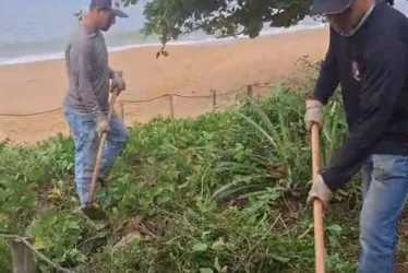 Imagem ilustrativa da imagem Moradora reclama de retirada de plantas na restinga de Iriri; Prefeitura responde