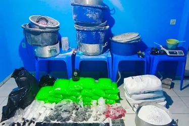 Imagem ilustrativa da imagem PM fecha laboratório de drogas e apreende mais de 2 mil pinos de cocaína no ES