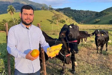 Imagem ilustrativa da imagem Pecuaristas apostam em frutas para alimentar animais após alta no preço da ração
