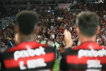 Imagem ilustrativa da imagem Quais são as maiores torcidas do Brasil?