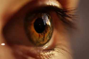 Imagem ilustrativa da imagem Retinóloga explica importância do diagnóstico ocular precoce