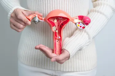 Imagem ilustrativa da imagem SUS vai oferecer novo tipo de DIU até o final do ano