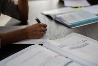 Imagem ilustrativa da imagem Sedu oferece cursos gratuitos para alunos do Ensino Médio; inscrições vão até sexta