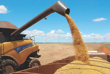 Imagem ilustrativa da imagem Tarifaço põe 110 mil empregos em risco no Brasil, diz estudo
