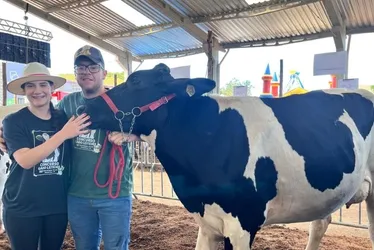 Imagem ilustrativa da imagem Vacas produzem 120 kg de leite por dia e vencem concurso no ES
