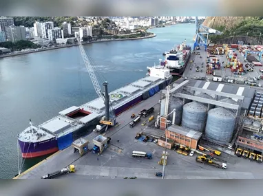 Imagem ilustrativa da imagem TVV realiza operação inédita e atraca o maior navio em capacidade no ES