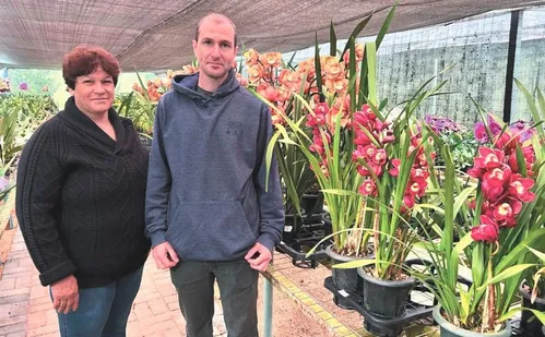 
          Imagem ilustrativa da imagem Aventura em rota com mais de 10 cavernas em Domingos Martins
          