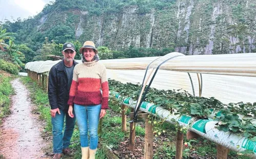 
          Imagem ilustrativa da imagem Aventura em rota com mais de 10 cavernas em Domingos Martins
          