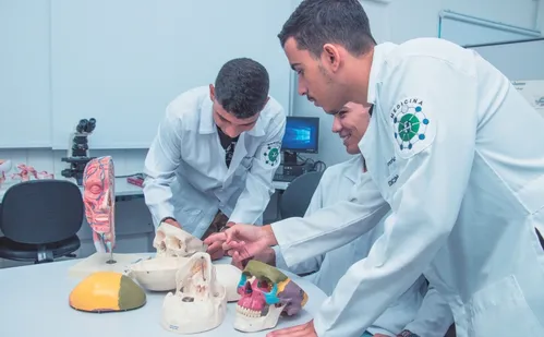 
          Imagem ilustrativa da imagem Enamed: estudantes de Medicina vão ter de fazer provão
          