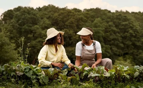 
          Imagem ilustrativa da imagem Espírito Santo bate recorde histórico em crédito rural e já planeja nova safra
          