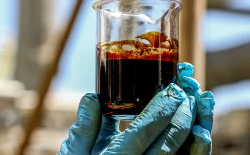 
          Imagem ilustrativa da imagem Estados Unidos compram 8% de todo o petróleo vendido pela Petrobras
          