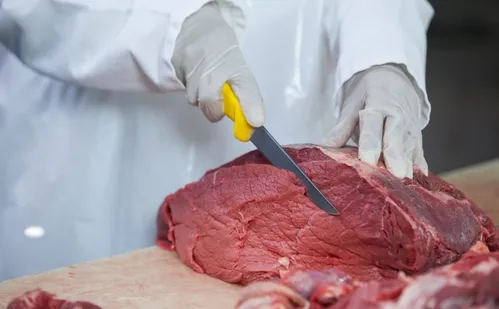 
          Imagem ilustrativa da imagem Frigoríficos de MS pausam produção de carne destinada aos EUA após tarifa de Trump
          