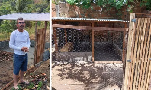 
          Imagem ilustrativa da imagem Galinhas, licores e cisternas: uma brecha no tempo que sustenta vidas no Cabo
          