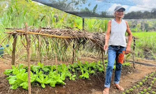 
          Imagem ilustrativa da imagem Galinhas, licores e cisternas: uma brecha no tempo que sustenta vidas no Cabo
          