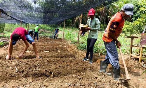
          Imagem ilustrativa da imagem Galinhas, licores e cisternas: uma brecha no tempo que sustenta vidas no Cabo
          