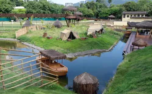 
          Imagem ilustrativa da imagem Gripe aviária mata galinhas-d'angola no Rio
          