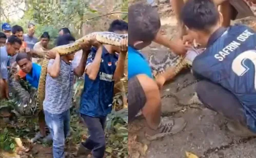 
          Imagem ilustrativa da imagem Homem desaparecido é encontrado morto dentro de cobra de 8 metros na Indonésia
          