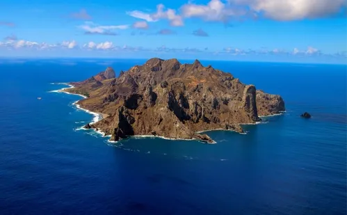 
          Imagem ilustrativa da imagem Ilha capixaba aumenta flora nativa e é modelo de restauração ambiental
          
