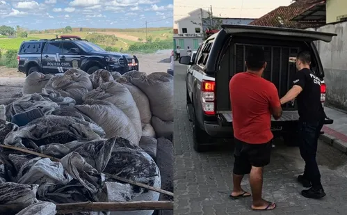 
          Imagem ilustrativa da imagem Jovem é preso com quase 50 sacas de café roubadas no Noroeste do ES
          