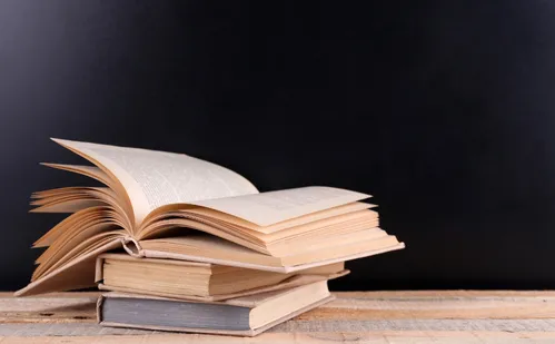 
          Imagem ilustrativa da imagem Lançamentos de livros para curtir durante as férias
          