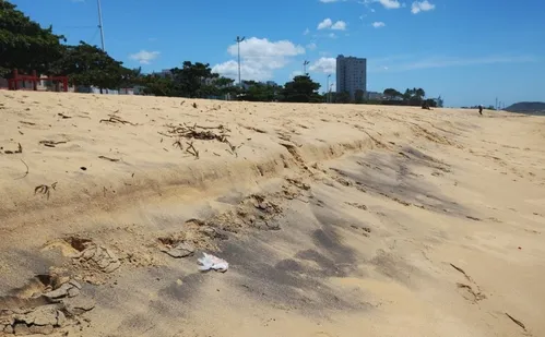 
          Imagem ilustrativa da imagem Minerais do Estado podem interessar a Donald Trump, diz especialista
          