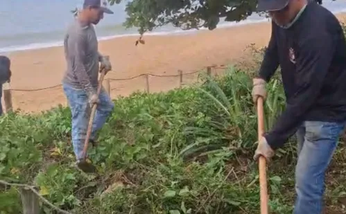 
          Imagem ilustrativa da imagem Moradora reclama de retirada de plantas na restinga de Iriri; Prefeitura responde
          