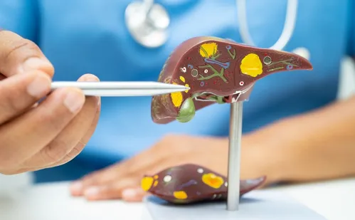 
          Imagem ilustrativa da imagem Mortes anuais por câncer de fígado podem chegar a 1,37 milhão em 2050
          