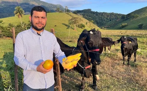 
          Imagem ilustrativa da imagem Pecuaristas apostam em frutas para alimentar animais após alta no preço da ração
          