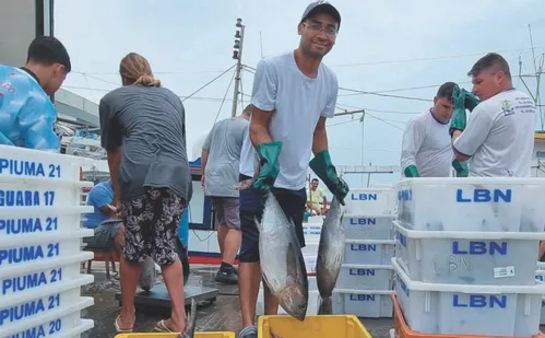 
          Imagem ilustrativa da imagem Pescadores do ES vão buscar mercado na Ásia e Espanha após tarifaço de Trump
          