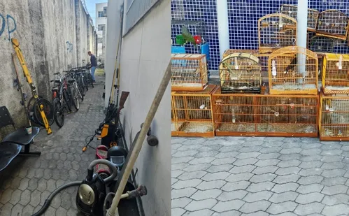 
          Imagem ilustrativa da imagem Polícia divulga itens apreendidos em operação de combate ao crime de receptação
          