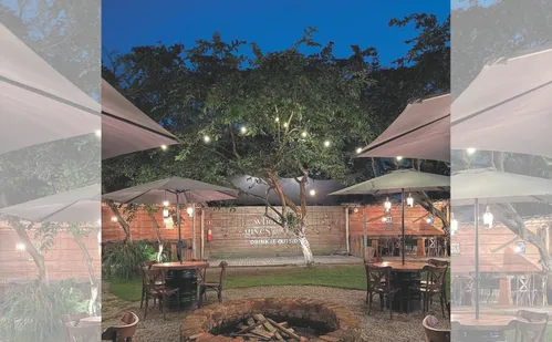 
          Imagem ilustrativa da imagem Sabores e encantos: descubra os restaurantes imperdíveis de Santa Maria de Jetibá
          