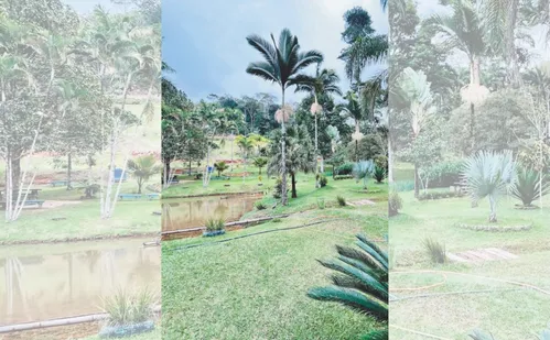 
          Imagem ilustrativa da imagem Santa Maria de Jetibá preserva cultura, idioma e arquitetura pomerana
          