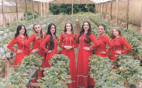 
          Imagem ilustrativa da imagem Torta gigante e eleição de rainha na Festa do Morango em Pedra Azul
          
