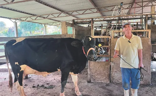 
          Imagem ilustrativa da imagem Luxo nas montanhas: vacas "milionárias" ganham destaque em concurso no ES
          