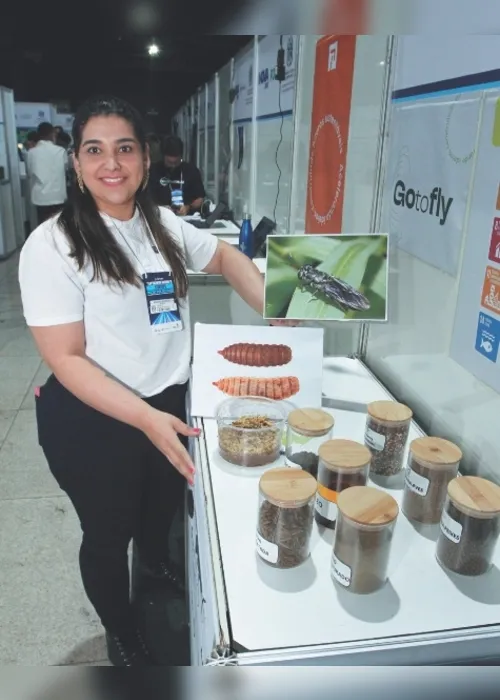 Imagem ilustrativa da imagem Feira InovaES: disputa entre startups e prêmio de até R$ 10 mil para boas ideias