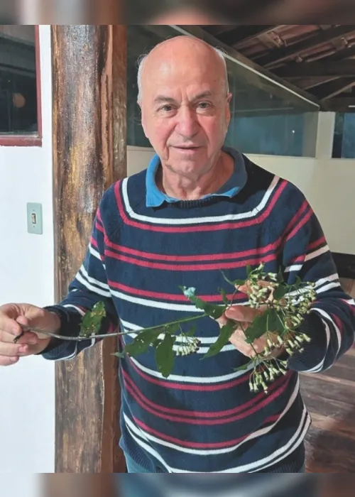 Imagem ilustrativa da imagem Rota das Cavernas e Plantas Medicinais: turismo científico em Domingos Martins