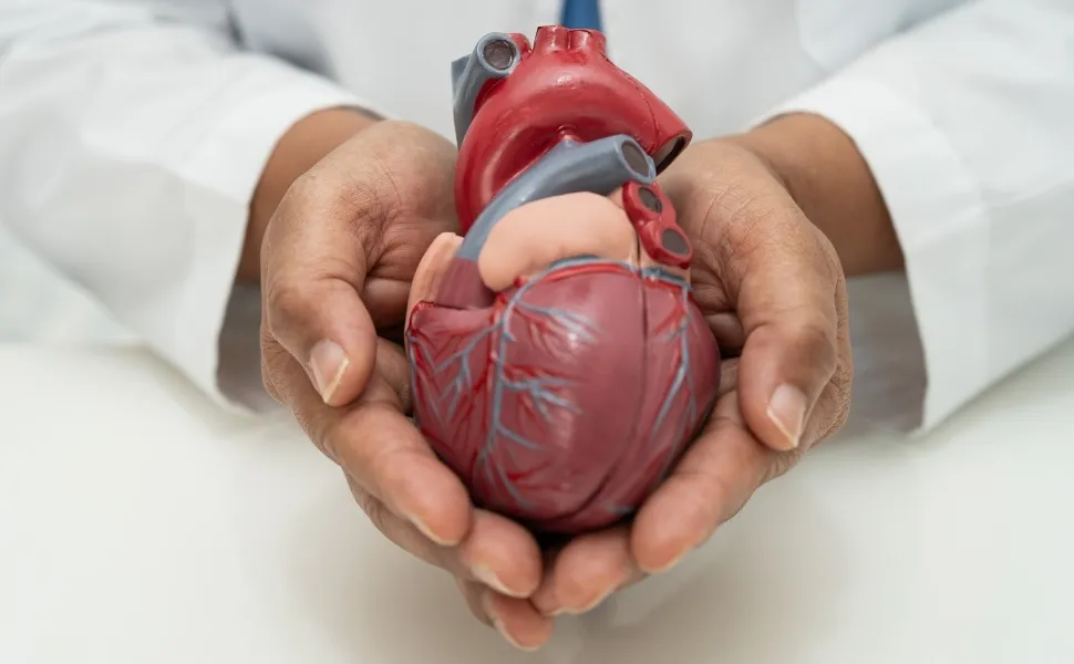 Nova diretriz brasileira prioriza sa&uacute;de cardiovascular no tratamento da  obesidade | Tribuna Online | Seu portal de Not&iacute;cias