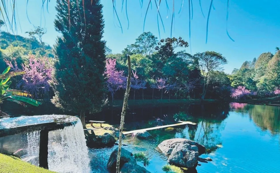 Imagem ilustrativa da imagem Paisagens de tirar o fôlego e gastronomia em Ibitirama, no Caparaó Capixaba