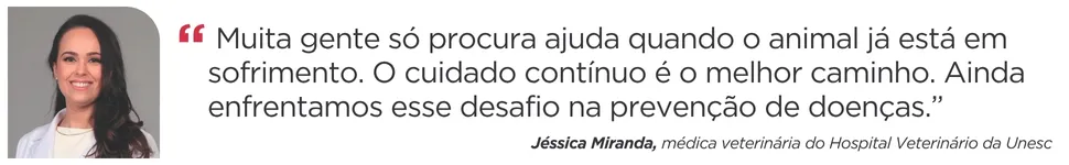 Imagem ilustrativa da imagem Vida Pet: como tratar as doenças que mais atingem os animais
