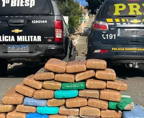 Imagem ilustrativa da imagem Suspeitos de tráfico se envolvem em batida de carro e são detidos em Caruaru