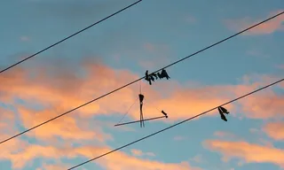 Imagem ilustrativa da imagem Brincadeira com pipa deixou quase 160 mil consumidores sem energia em Pernambuco
