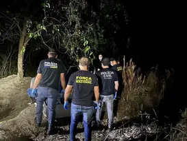 Imagem ilustrativa da imagem Corpos são encontrados em Icaraíma; suspeita é de que sejam os 4 que saíram de SP pra cobrar dívida