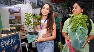 Imagem ilustrativa da imagem Feira de Negócios da Agricultura Familiar destaca a importância da produção local