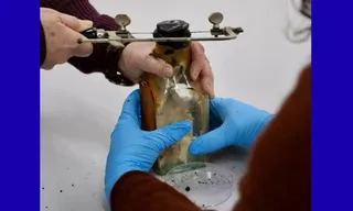 Imagem ilustrativa da imagem Pintor descobre garrafa com mensagem de 122 anos escondida dentro de uma parede