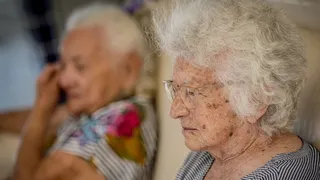 Imagem ilustrativa da imagem Setembro Lilás: Recife recebe roda de conversa sobre Alzheimer